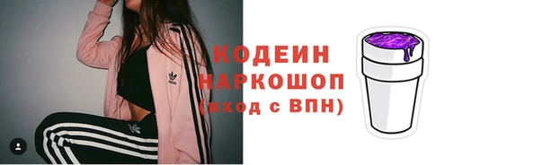 apvp Кукмор