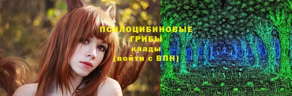 твердый Куйбышев