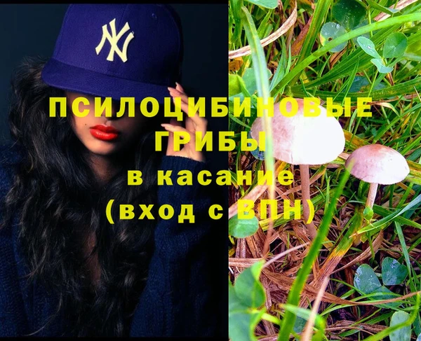apvp Кукмор