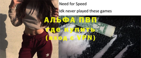apvp Кукмор
