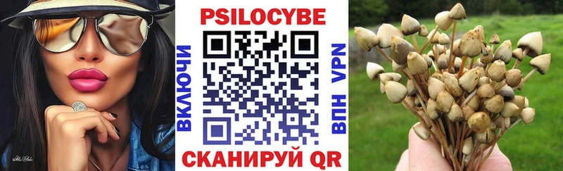 Галлюциногенные грибы Psilocybe Златоуст