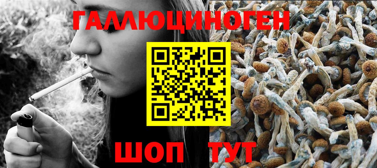 Галлюциногенные грибы Psilocybe  Вход с VPN  Псилоцибиновые грибы прущие грибы  Златоуст 