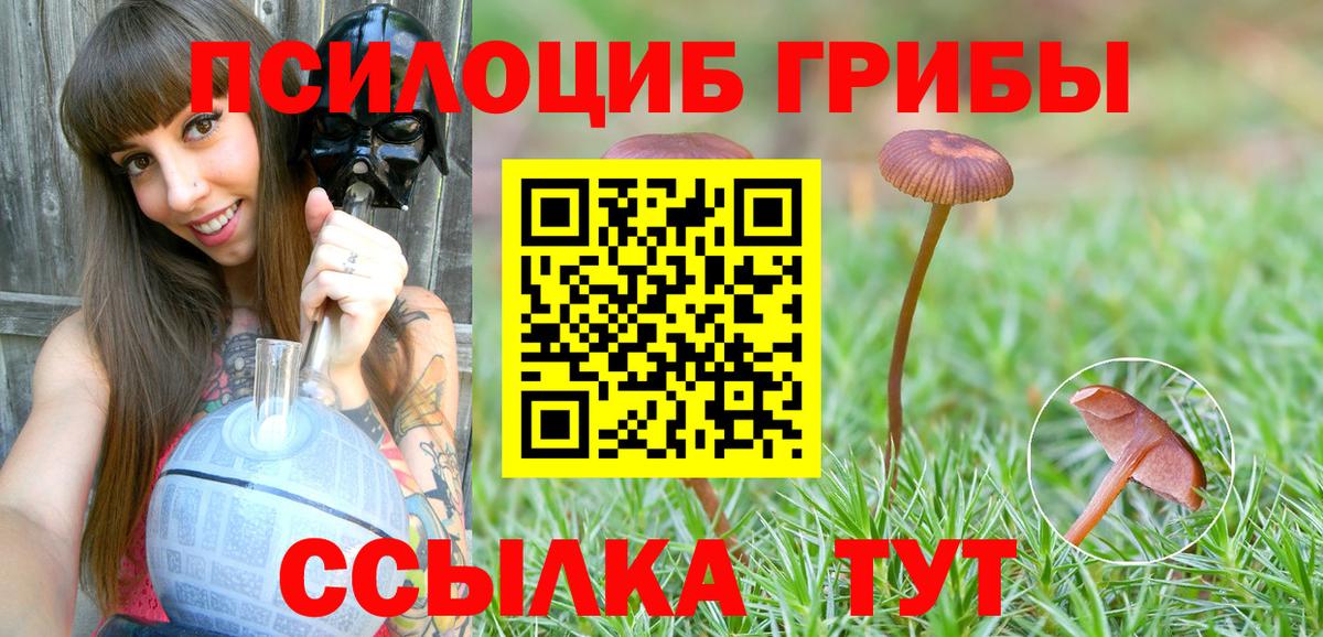 Псилоцибиновые грибы мухоморы Златоуст